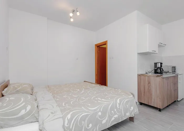 Amazing In With Wifi Apartament